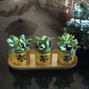 Party Lite Yellow Floral Ceramic Planters or Votive/Tea Lite Holders with‎ Tray